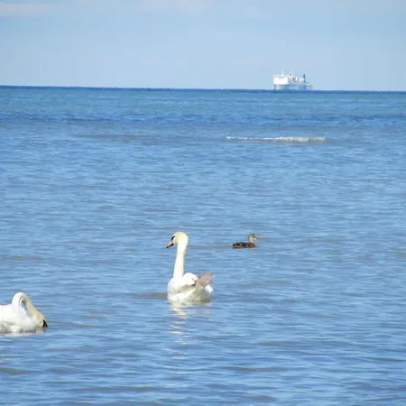 Bolliger 2 Modern Retreat Groß Schwansee
